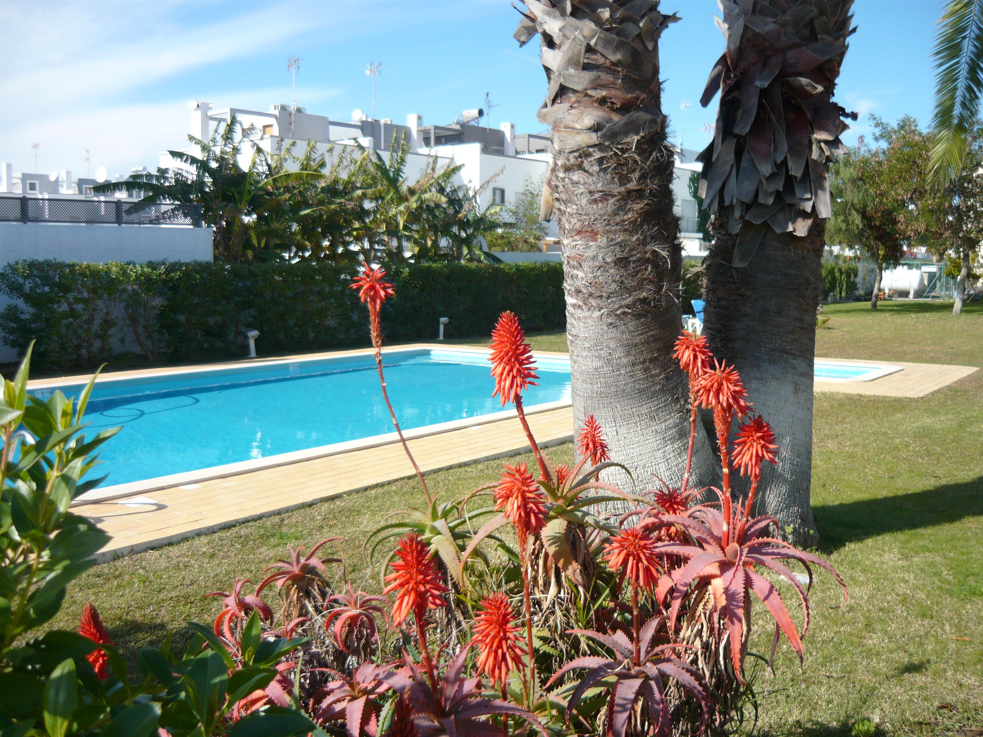 Praia Da Lota Resort - Beachfront Hotel Manta Rota Buitenkant foto